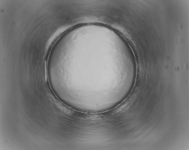 X0000071941175200607281936