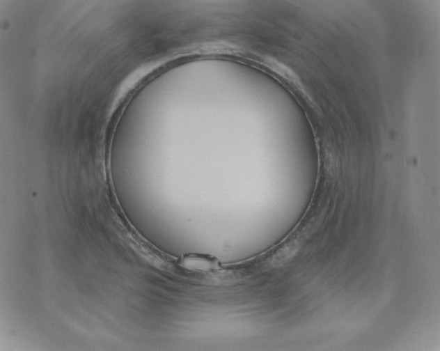 X0000071941176200607281936