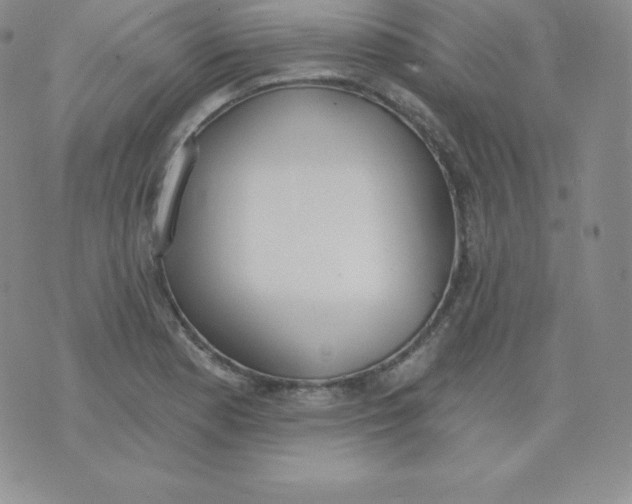 X0000071941177200607281936