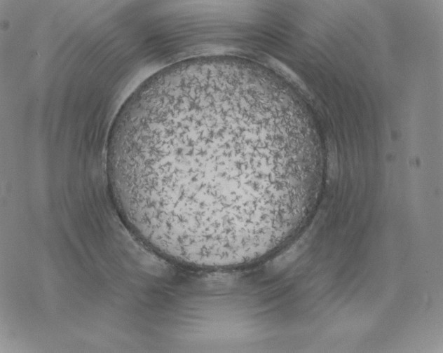 X0000071941178200607281936