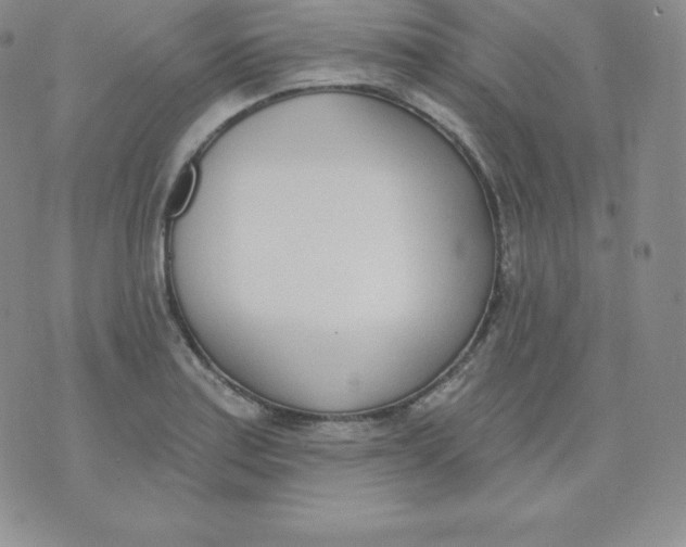 X0000071941179200607281936