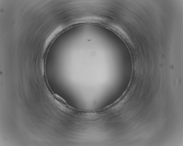 X0000071941180200607281936