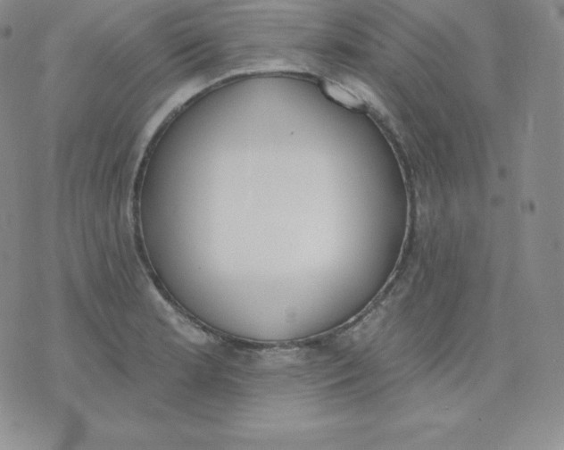 X0000071941181200607281936