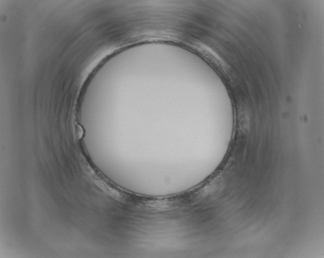 X0000071941182200607281936