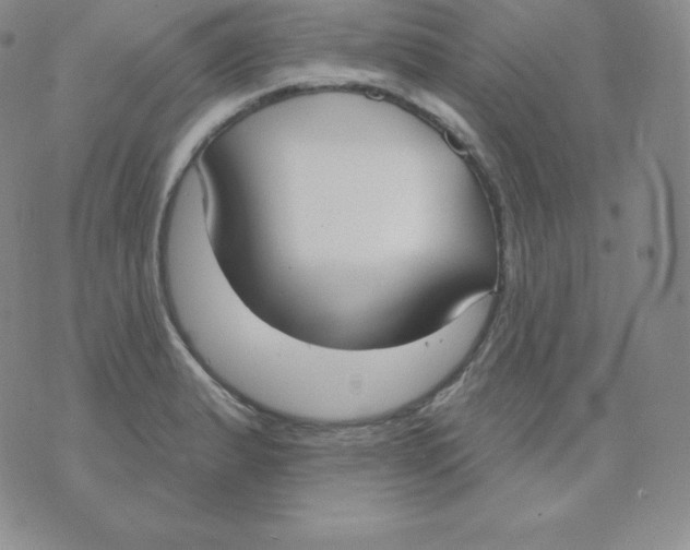 X0000071941183200607281936