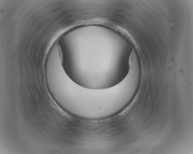 X0000071941184200607281936