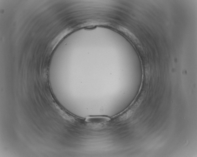 X0000071941185200607281936