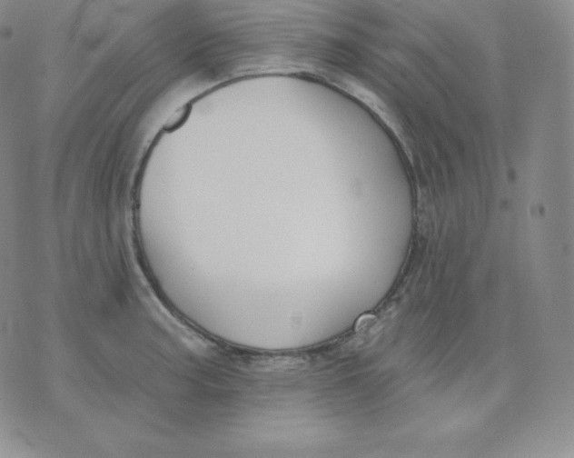 X0000071941187200607281936