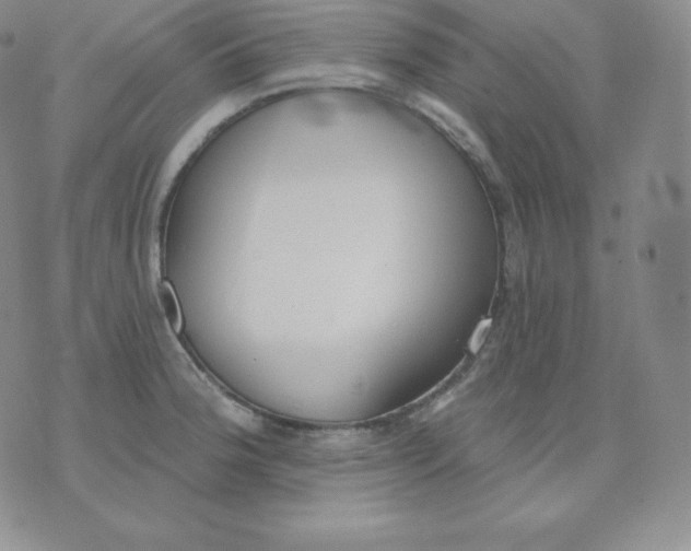 X0000071941188200607281936