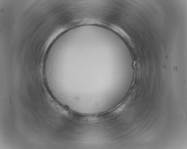 X0000071941190200607281936