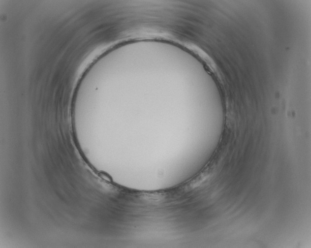 X0000071941191200607281936