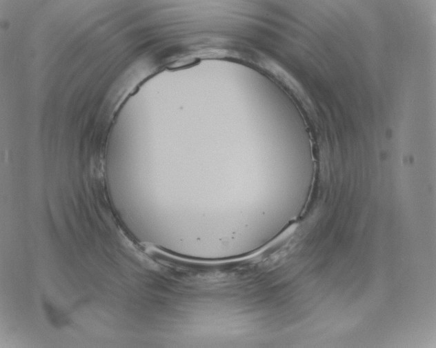 X0000071941193200607281936