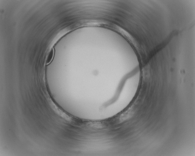 X0000071941194200607281936