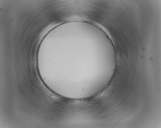 X0000071941195200607281936