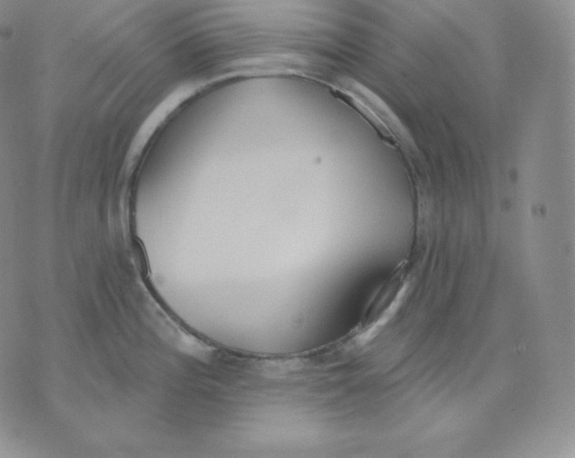 X0000071941196200607281936