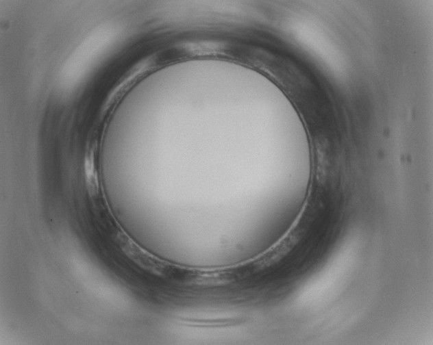 X0000071941198200607281936