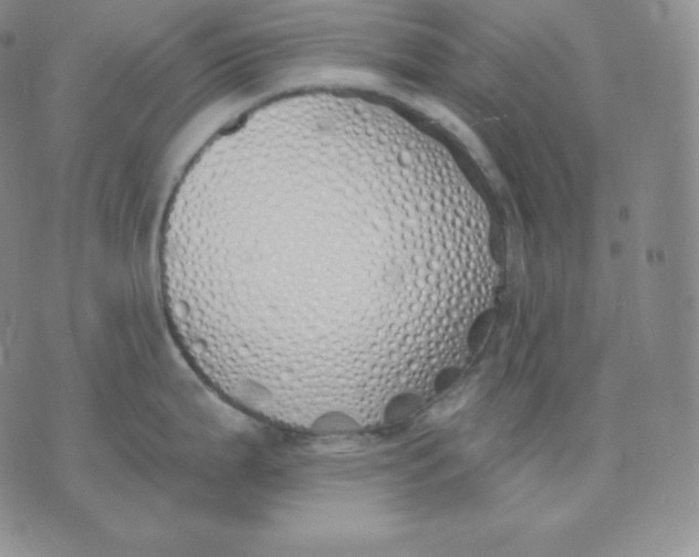 X0000071941199200607281936