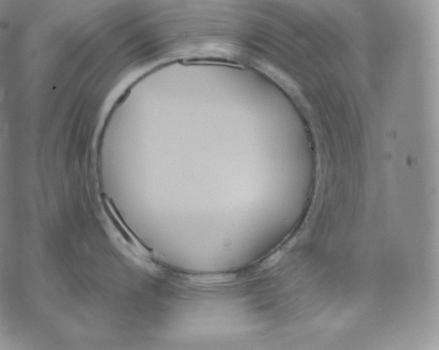 X0000071941200200607281936