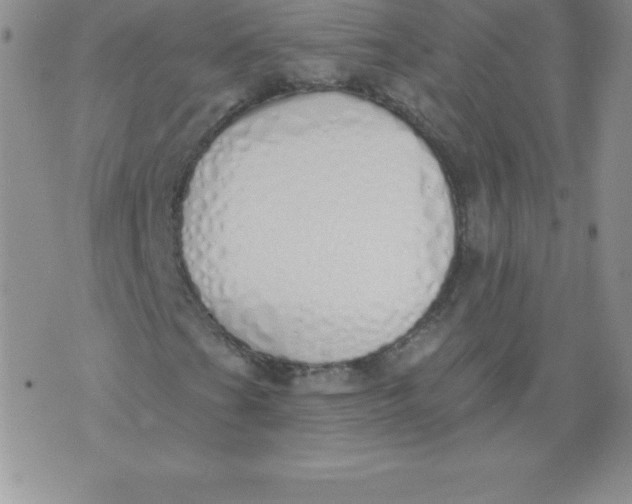 X0000071941201200607281935