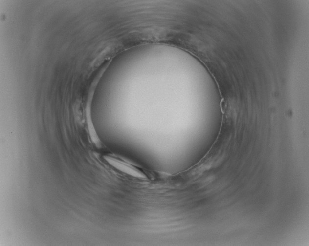 X0000071941202200607281935