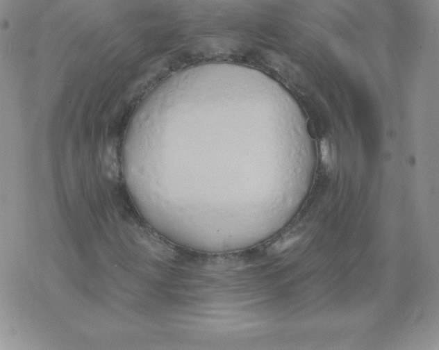 X0000071941203200607281935