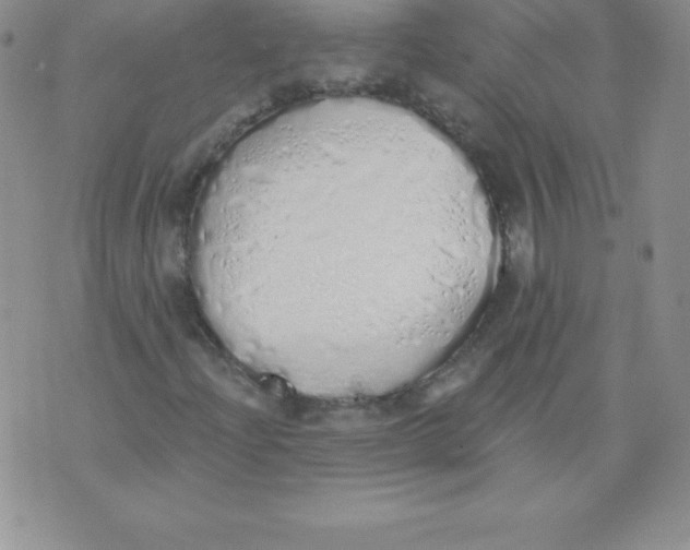 X0000071941204200607281935