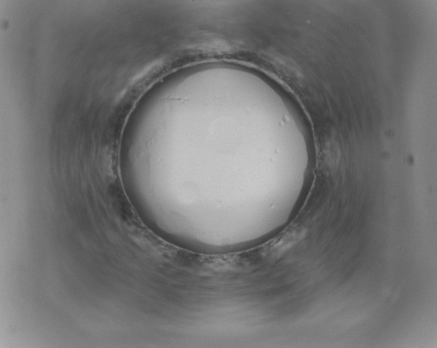 X0000071941205200607281935