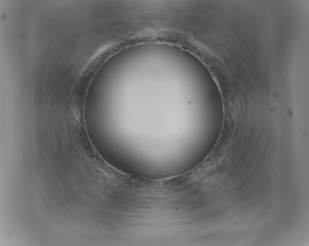 X0000071941206200607281935