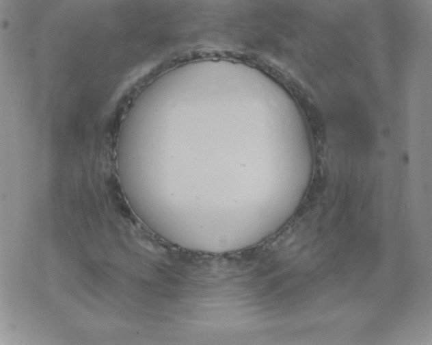 X0000071941207200607281935