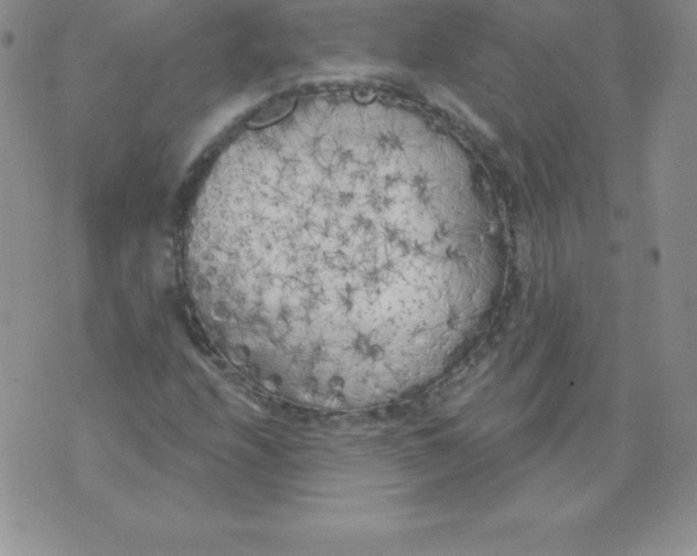 X0000071941208200607281935