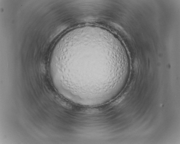 X0000071941209200607281935