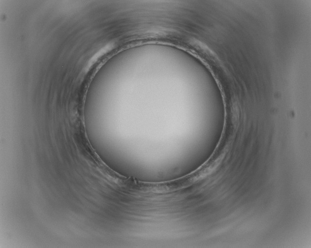 X0000071941210200607281935