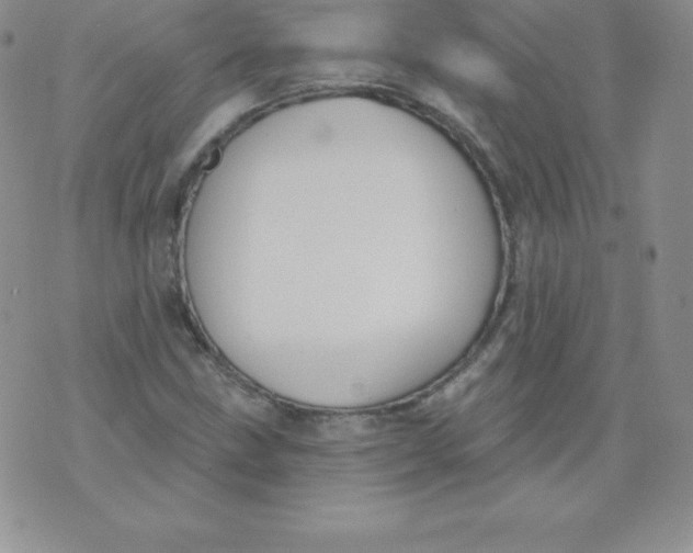 X0000071941211200607281935