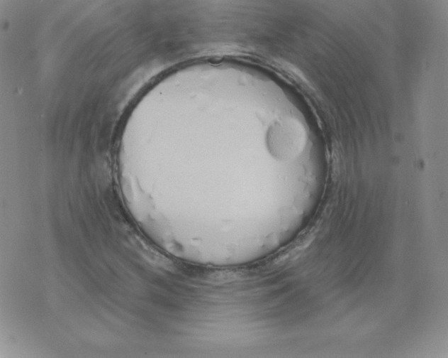 X0000071941212200607281935