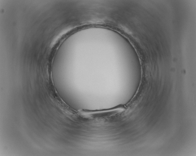 X0000071941214200607281935