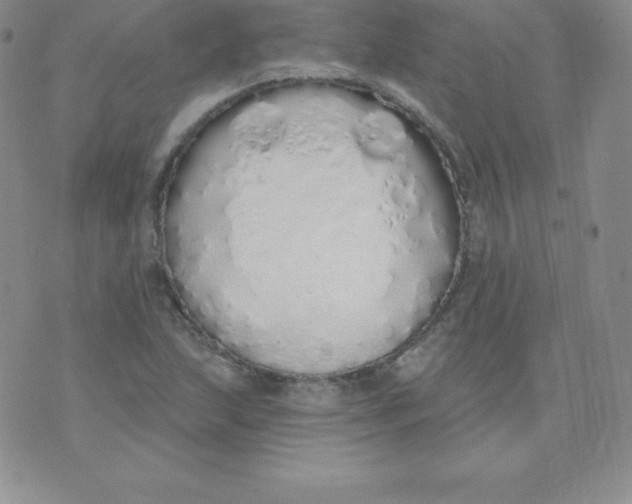 X0000071941215200607281935