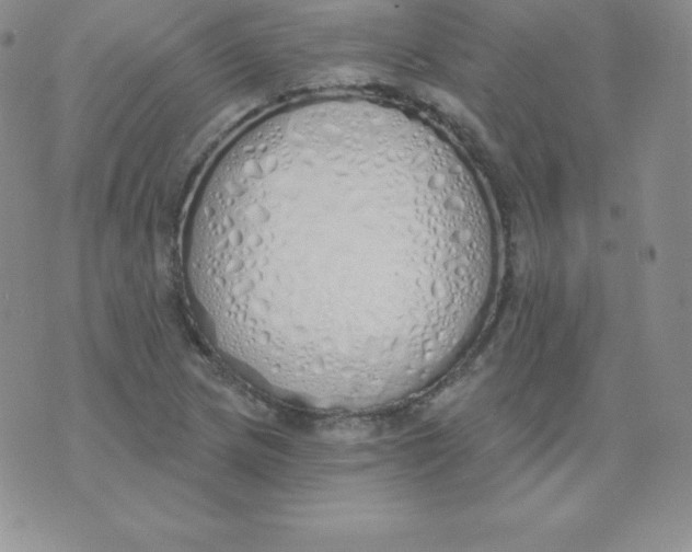 X0000071941217200607281935