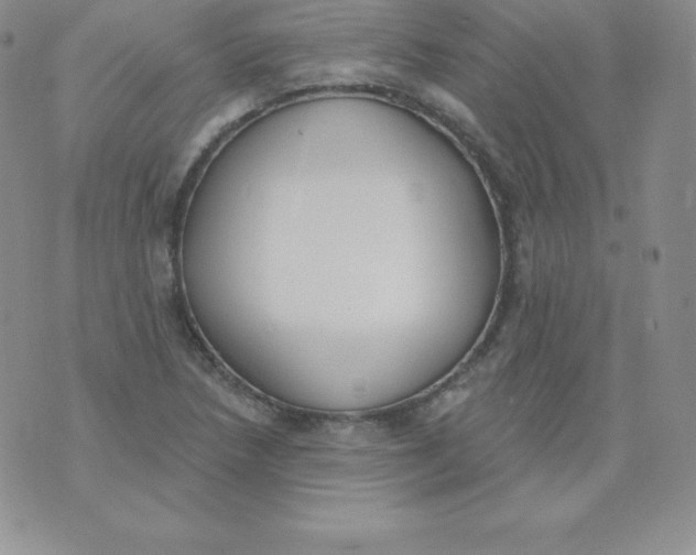 X0000071941218200607281935