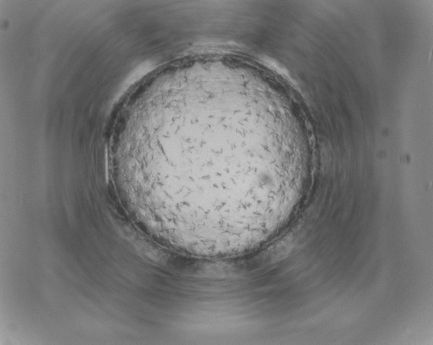 X0000071941219200607281935