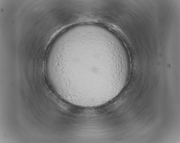 X0000071941220200607281935