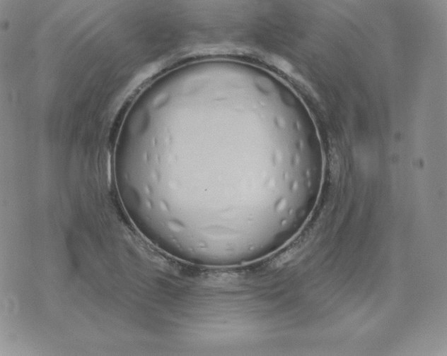 X0000071941221200607281935