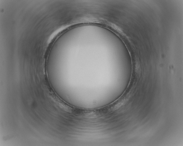 X0000071941222200607281935