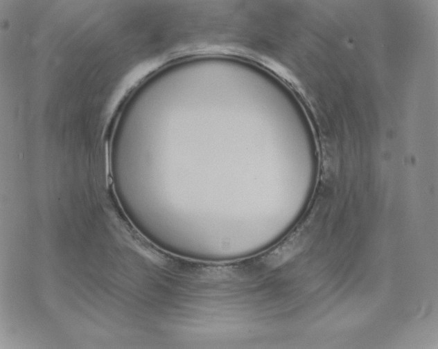 X0000071941223200607281935