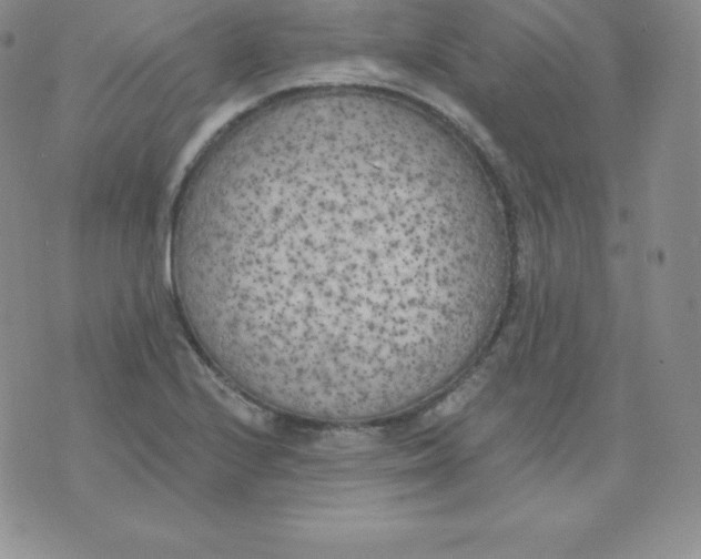 X0000071941224200607281935