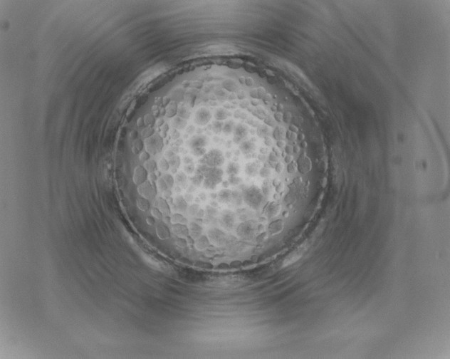 X0000071941225200607281935