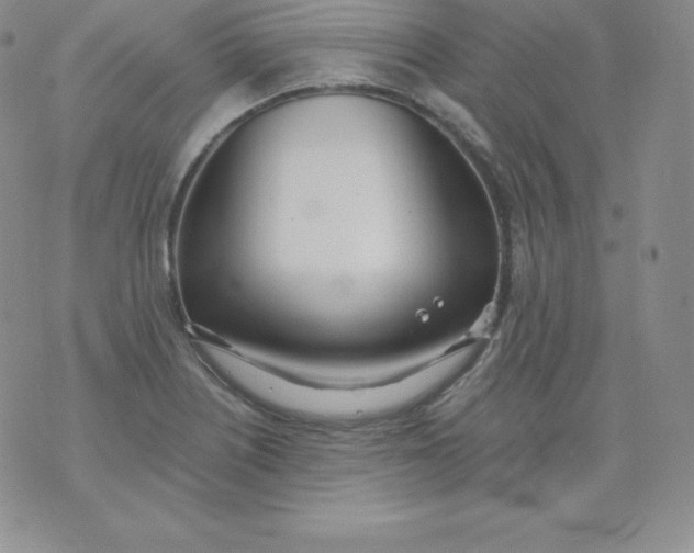 X0000071941226200607281935