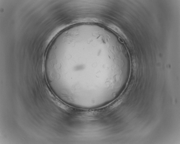 X0000071941228200607281935