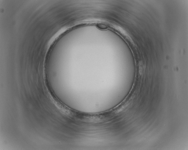 X0000071941229200607281935