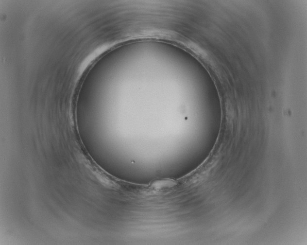 X0000071941230200607281935