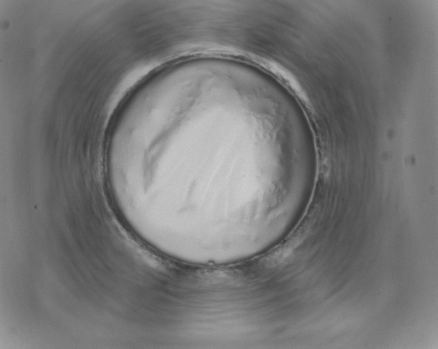 X0000071941231200607281935